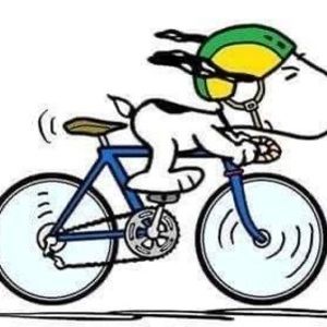 Meet your Posher, Alejandro ernesto